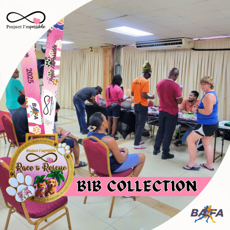 Bib Collection Bib Collection for the Project I’mPossible: Race to Rescue 5K 2025 ...
